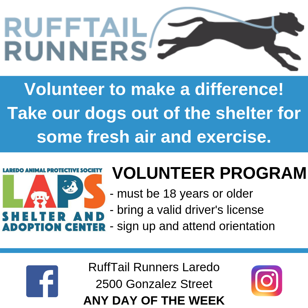 Volunteer